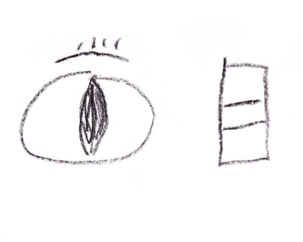 chinese-目-eye