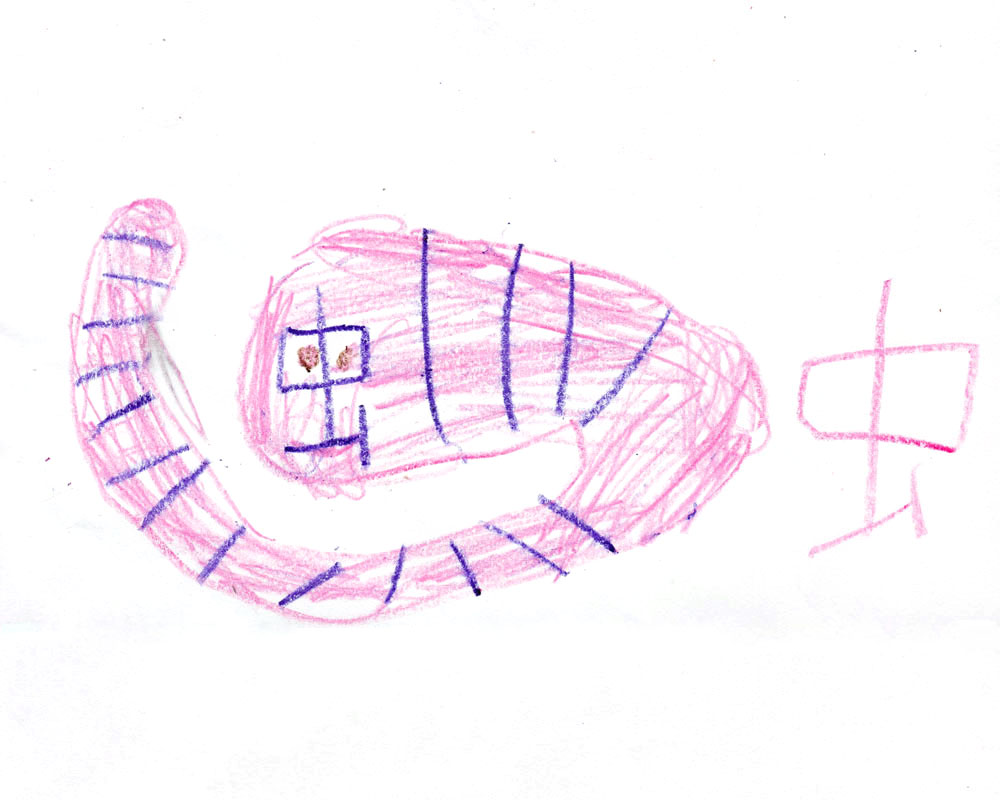 chinese-虫-worm