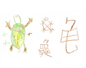 chinese-龟-turtle