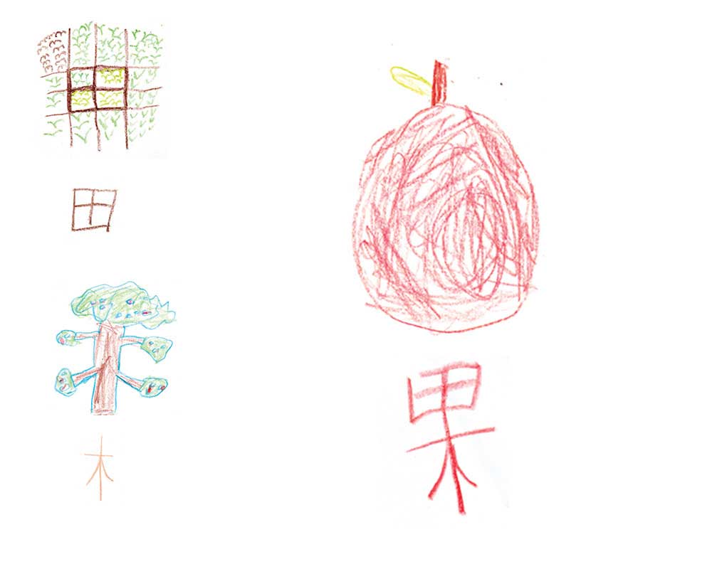 果 - Chinesegram - Learn Chinese Characters. For Kids by Kids.